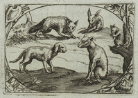 TvB G 4425
          <br/>
          Twaalf afbeeldingen met dieren
          <br/>
          <em>Staker, Heinrich (??)</em>
